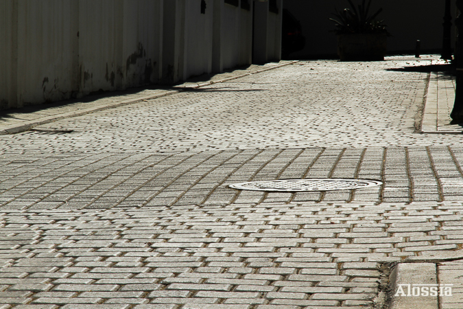 LAS PUNTADAS DEL CAMINO